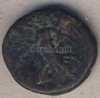 Római Császárság Domitianus 69-96. Bronzpénz T:4