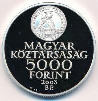 2003. 5000Ft Ag "Rákóczi szabadságharc 300. évfordulója" T:PP kis fo. Adamo EM186