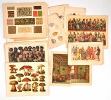 cca 1900 kb 40 db színes és egyszínű litografált tábla lexikonokból