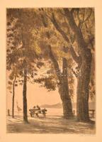 Zádor István (1882-1963): Balaton parton. Rézkarc, papír, jelzett, 36x24 cm