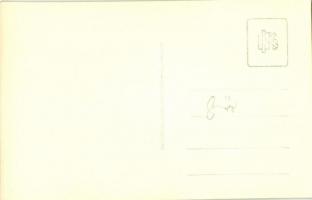 Győr, híd "Gyalogosok balra!" táblával, kerékpáros hölgyek. photo