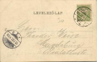 1901 Budapest I. Kilátás a Krisztinaváros felől, Tabán, Királyi vár, Lánchíd. Divald Károly 28