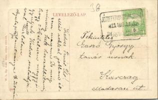 1911 Gyula, József szanatórium. W. L. Bp. 6540. (EK)