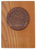 1970. Gamma művek -50-1920-1970-Budapest Br plakett fatalpon, akasztóval (70mm) T:1-