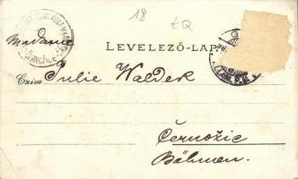 1898 Győr, Kármeliták bérháa, Püspökvár, Rába folyó, Széchenyi tér, Baross út, Polgár Bertalan paprk...