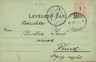 1899 Kaposvár, vasútállomás, Takarékpénztár, Székely áruház. Gerő Zsigmond kiadása. Art Nouveau, flo...
