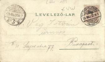 1899 Székesfehérvár, Nádor utca, Elite kávéház. Kaufman F. kiadása, Art Nouveau, floral litho  (EK)