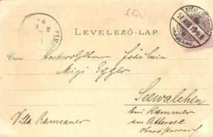 1897 (Vorläufer!) Székesfehérvár, Vörösmarty szobor, püspöki palota, megyeház, színház, Nádor utca, ...