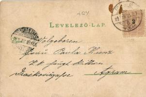 1899 (Vorläufer!) Pécs, Király utca, Takarékpénztár, Székesegyház, Széchenyi tér.Art Nouveau, floral...