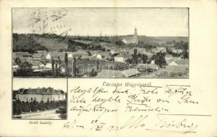 1913 Hőgyész, látkép, Gróf Apponyi kastély. Kiadja Fleischman Jónás (EK)