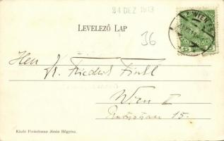 1913 Hőgyész, látkép, Gróf Apponyi kastély. Kiadja Fleischman Jónás (EK)