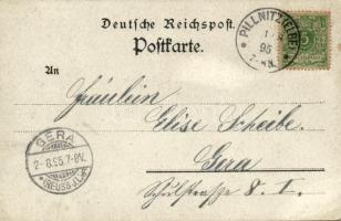 1895 (Vorläufer!!!) Pillnitz, Königl. Schloss, Borsberg, Ruine / castle, hill, ruins. Ludwig Philipp...