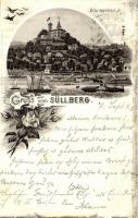 1890 (Vorläufer!!!) Süllberg am Blankenese (Hamburg), steamship. H. Noback Art Nouveau, floral, litho (small tear)