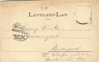 1900 Alsókubin, Dolny Kubín; Alsó-Kubin, Árva vára, Felső-Kubin, Kubinyi Árpád kastélya, híd. Kiadja...