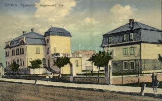 1938 Szenc, Szempcz, Senec; Magnemesítő telep. Kiadja Friedmann Farkas / seed breeder plant