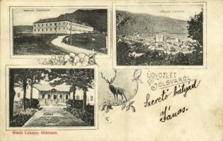 1909 Jolsva, Jelsava; Honvéd laktanya, látkép, fürdő. Kiadja Lukácsy Miklósné / K.u.K. military barracks, general view, spa, baths. Art Nouveau, floral (fl)