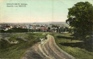 1915 Szászváros, Broos, Orastie; látkép. Szászvárosi Könyvnyomda kiadása / Ansicht / general view + K.u.K. Rekonvaleszentenabteilung des Infanterieregiments No. 71.