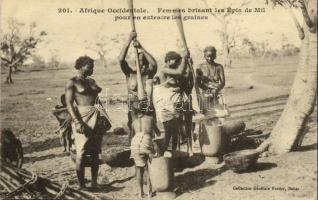 Afrique Occidentale, Femmes brisant les Épis de Mil pour en extraire les graines / indigenous women grinding seeds in mortars, nude, Senegalese folklore
