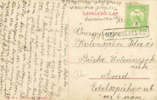 1914 Szászsebes, Mühlbach, Sebesul Sasesc, Sebes; M. kir. erdőhivatal. 237. W. L. 1662. Kiadja J. Hi...
