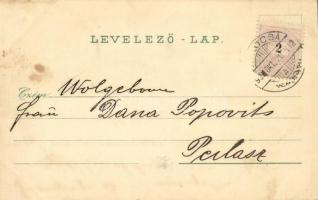 1899 Kalocsa, Zárda látóképe és udvara, Kálvária és kórház. Schwidernoch Károly Art Nouveau, floral,...