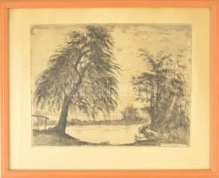 Élesdy István (1912-1987): Szigligeti öreg fűzfa. Rézkarc, papír, jelzett, foltos, üvegezett keretben, 29×38 cm