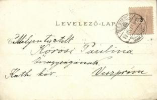 1898 (Vorläufer!) Kecskemét, Fő tér, színház, zsinagóga, Katona József és Szentháromság szobor, Kato...