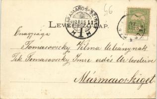 1902 Felsőbánya, Baia Sprie; utca, Róth Mihály, Sárody Sándor üzlete. Kiadja Dacsek Péter / street v...