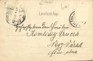 1905 Szilágycseh, Bömischdorf, Cehu Silvaniei; Községháza, Herskovits Sámuel üzlete, Lisztraktár, Ko...