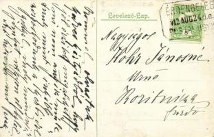 1912 Iriny, Irina; Irinyi kastély, veranda. Kiadja Lövy M. / castle + "ÉRDENGELEG POSTAI ÜGYN.&...