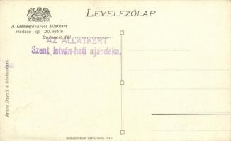 Budapest XIV. Székesfővárosi Állatkert, Arara figyeli a közönséget + Az Állatkert Szent István-heti ...