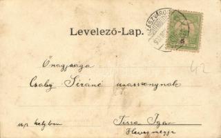 1900 Szászváros, Broos, Orastie; Vásártér utca, üzletek. Kiadja Schuller A. / street view, shops (fa...