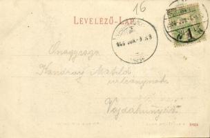 1906 Nagyszeben, Hermannstadt, Sibiu; Villa des gr. or. Metropoliten / Az ortodox metropolita villáj...