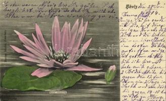 Hévíz - 5 db régi városképes lap / 5 pre-1945 town-view postcards