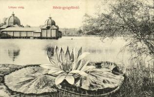 Hévíz - 5 db régi városképes lap / 5 pre-1945 town-view postcards