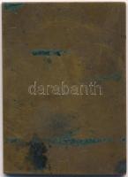 DN "Richard Wagner" Br emlékplakett (42x60mm) T:2,2-