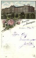 1898 Bucharest, Bukarest, Bucuresti; Scola de Officieri / officers school. Libraria Carol Müller Art Nouveau, floral, litho (EK)