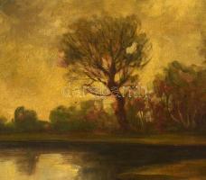 Markó Ernő (1868-1945): Tó part. Olaj, vászon,foltos, jelzett, keretben, 56×68 cm