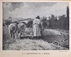 Herman Ottó: A madarak hasznáról és káráról. [Bp.,1904, Franklin-ny.], 3-326+2 p. Második, bővített ...