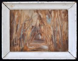 Németh József: Táj. Olaj, farost, Jelzett. 12x16 cm Keretben