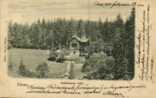 1905 Lőcse, Levoca; Steinhausz villa. Latzin János kiadása / villa