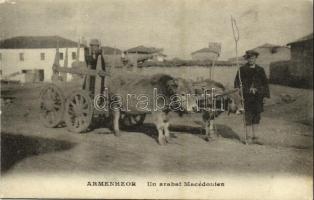 1918 Armenheor, Un arabat Macédonien / ox cart, Macedonian folklore (worn corner)