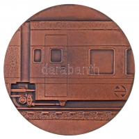 1981. "Párizs - Madrid vasútvonal" Br emlékplakett (80mm) T:2
1981. "Paris - Madrid ...