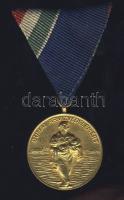 1954. "Dunai árvízvédelemért" aranyozott kitüntetés, szalaggal T:2