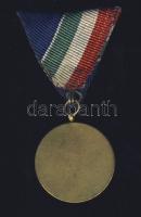 1954. "Dunai árvízvédelemért" aranyozott kitüntetés, szalaggal T:2