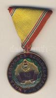 DN "A haza fegyveres szolgálatában-10 év" szocialista kitüntetés, szalaggal T:2