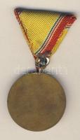 DN "A haza fegyveres szolgálatában-10 év" szocialista kitüntetés, szalaggal T:2