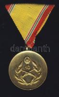 DN "Honvédelmi Érdemérem-10 éves" kitüntetés, szalaggal T:2