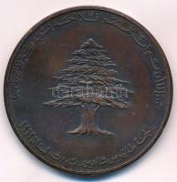 Libanon 1969. "Tanios Chanine" Br emlékérem (51mm) T:2
Lebanon 1969. "Tanios Chanine...
