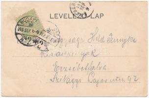 1903 Budapest XII. Zugliget, Disznófő vendéglő, étterem, kert (EK)