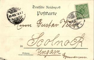 1899 Hamburg, Rathaus / town hall. Kunstanstalt Karl Leykum Künstlerpostkarte No. 8. litho